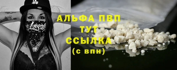 эйфоретик Новозыбков